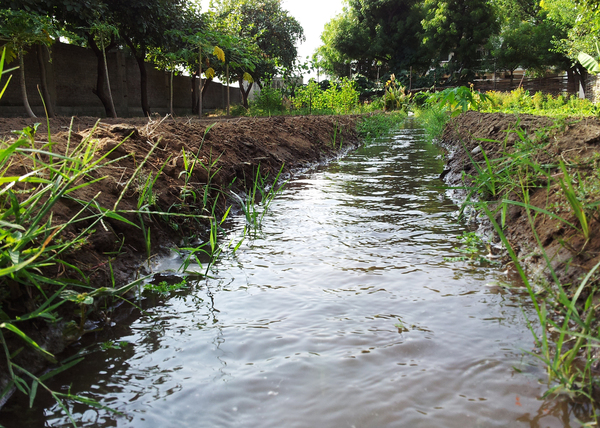 the talab water runs along a long channel 600